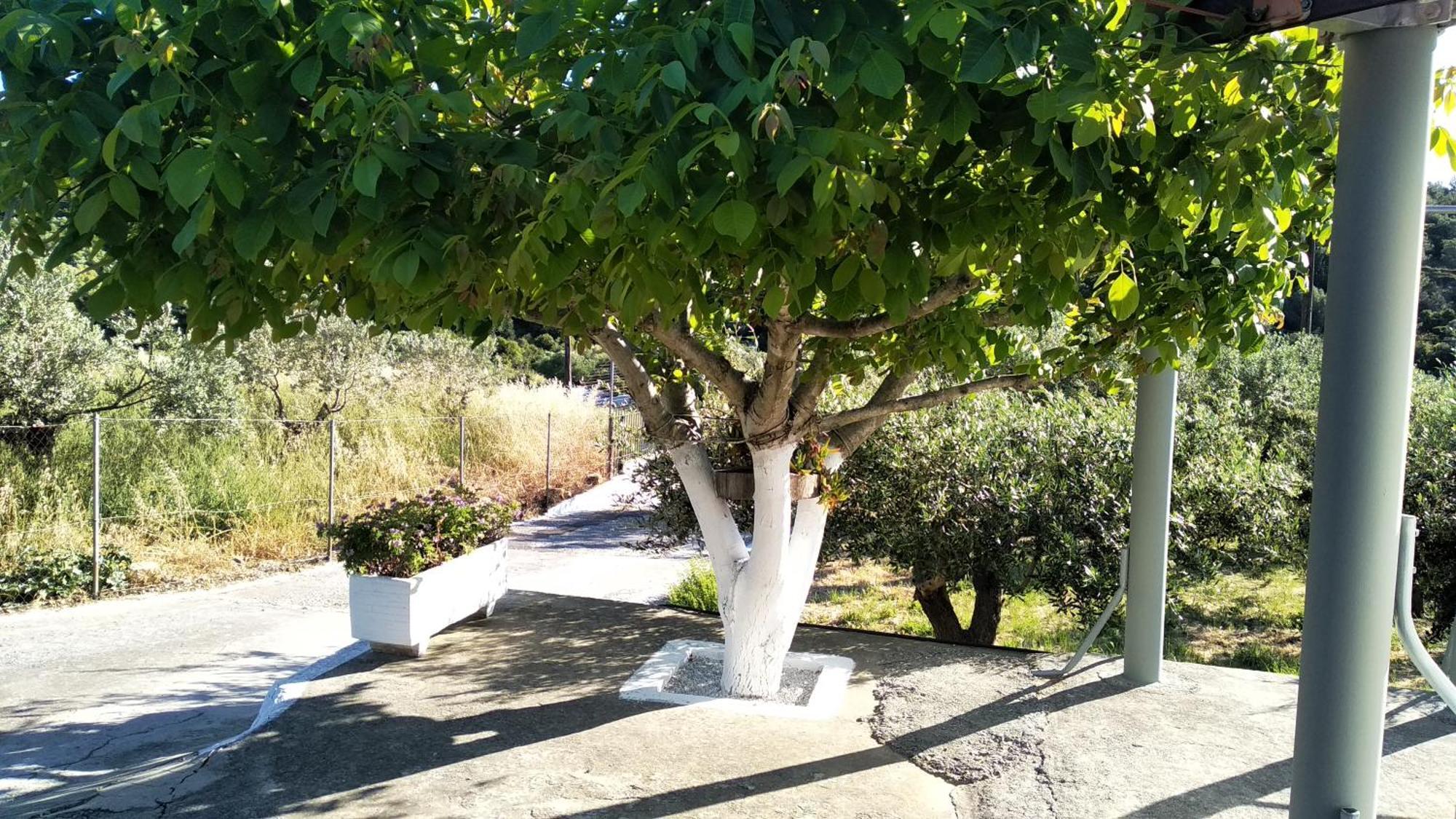 Palaiokastron  Country House In Speri Palaiokastro מראה חיצוני תמונה